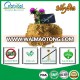 High Quality Natural 80% Silybin